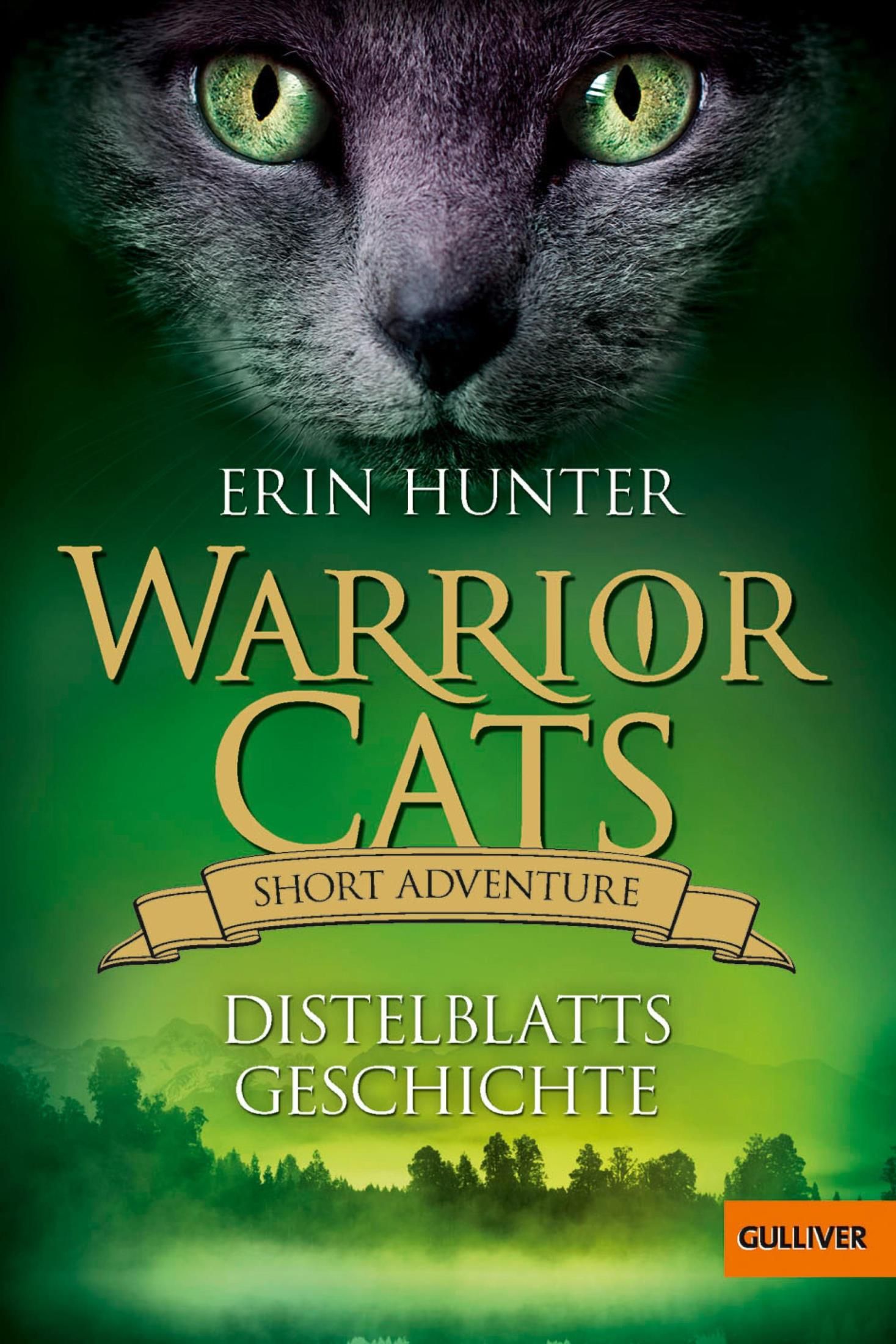 warrior cats hollyleafs story warrior cats hollyleafs story